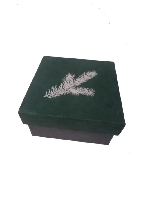 Geschenkbox Tannenzweig