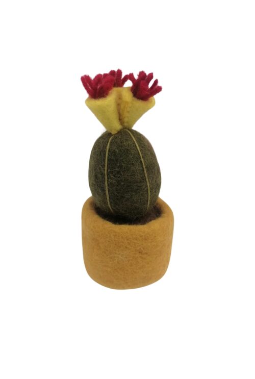 Topfpflanze Sonnengelb