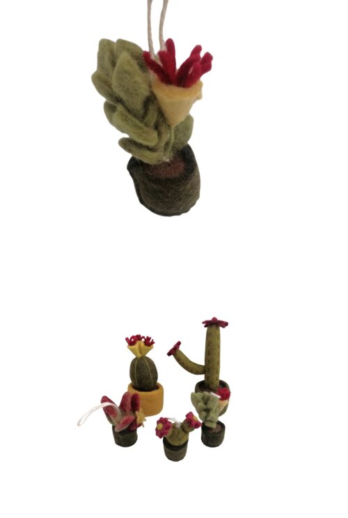 Topfpflanze Kelch Klein