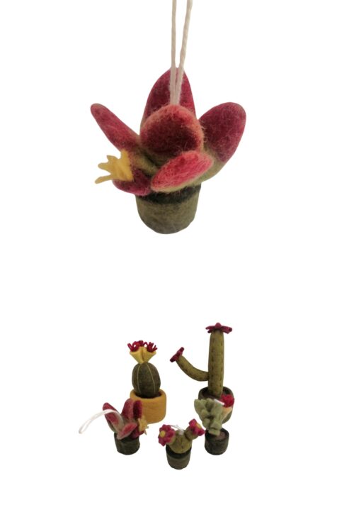 Topfpflanze Berry Klein