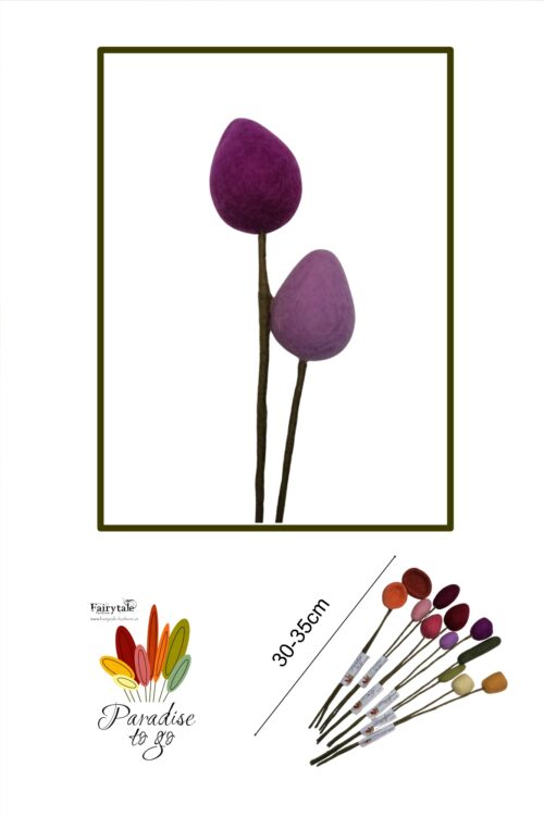 Paradise to go Knospe violett