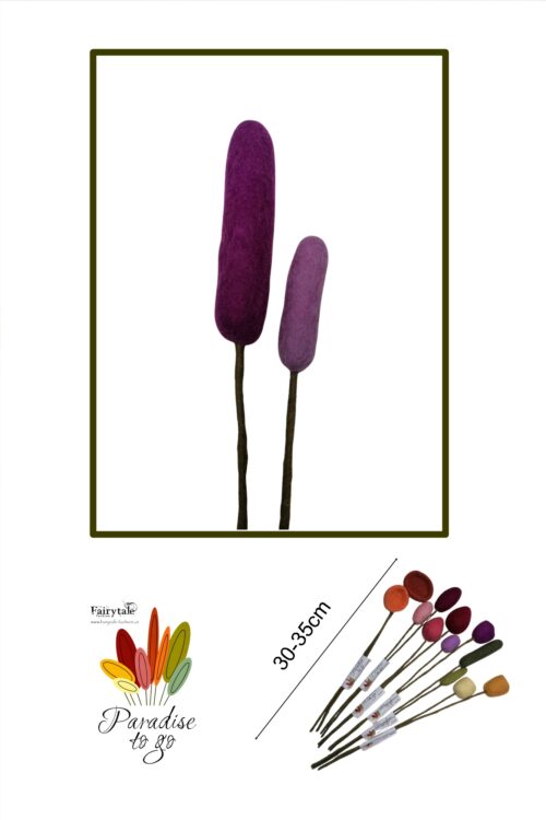 Paradise to go Schote violett